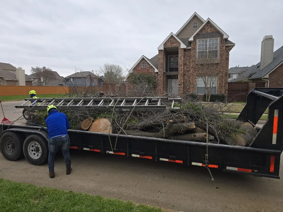 Expert Tree Removal with proper safety equipment in Columbus